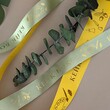 Лента брендированная (сатин) ширина 25мм (25м) "1 сентября" - Магазин товаров для кондитеров - Cake Box, Екатеринбург